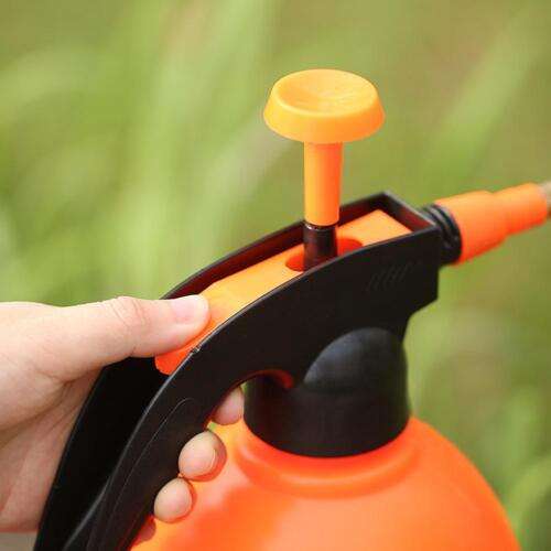 Green Grass Lawn Spray
