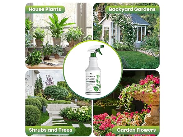 Awakening Plant Growth Vitality
