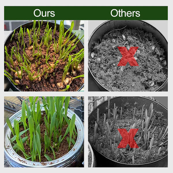 Organic Coconut Coir for Plants: