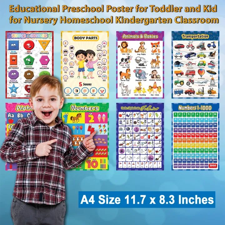Preschool Educational Posters – Waterproof Classroom Wall Art Set (16pcs)