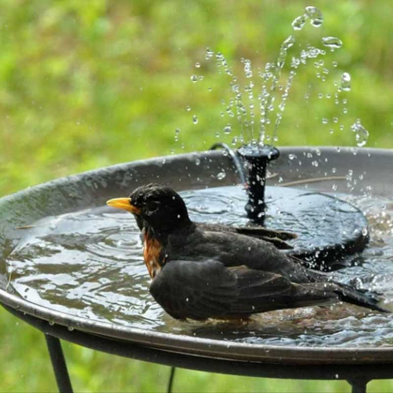 Solar Floating Bird Bath Fountain – Outdoor Garden Water Feature