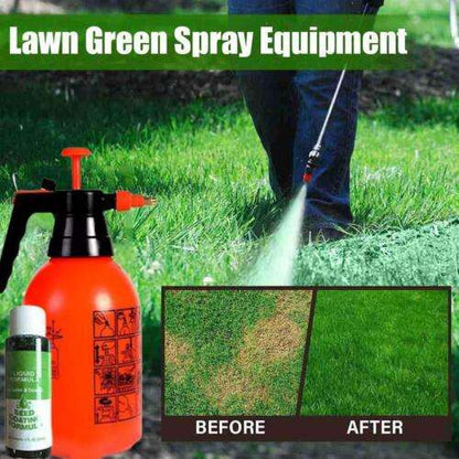 Green Grass Lawn Spray