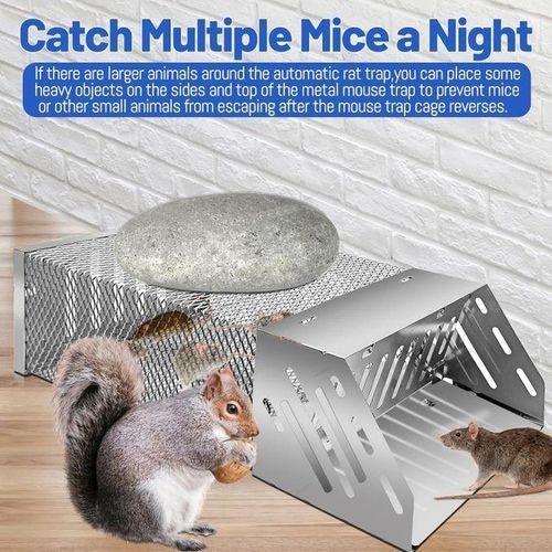 Rat Hole Mouse Trap – Easy & Effective Rodent Control Solution