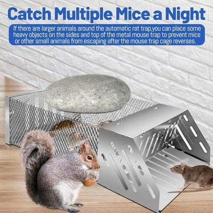 Rat Hole Mouse Trap – Easy & Effective Rodent Control Solution