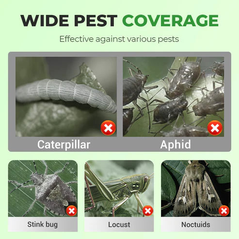 Powerful & Long-Lasting Crop Insecticide