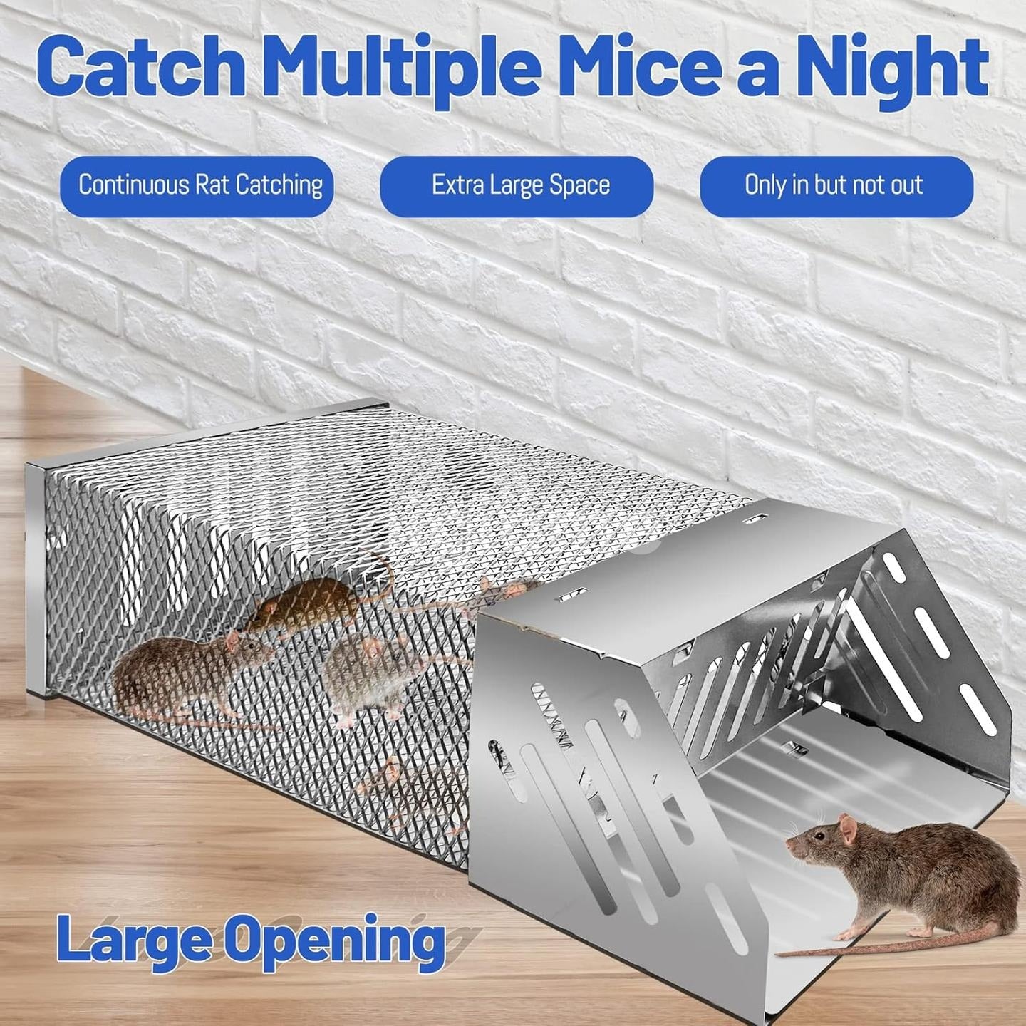 Rat Hole Mouse Trap – Easy & Effective Rodent Control Solution