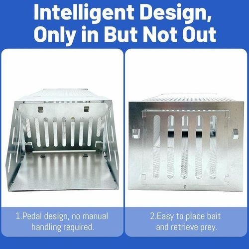 Rat Hole Mouse Trap – Easy & Effective Rodent Control Solution