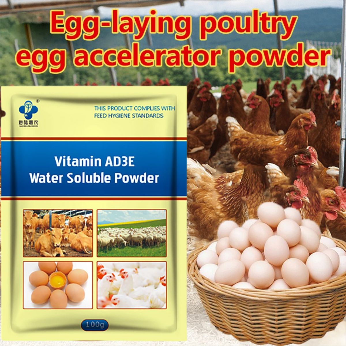 Poultry Vitamin AD3E Powder – Boost Egg Production