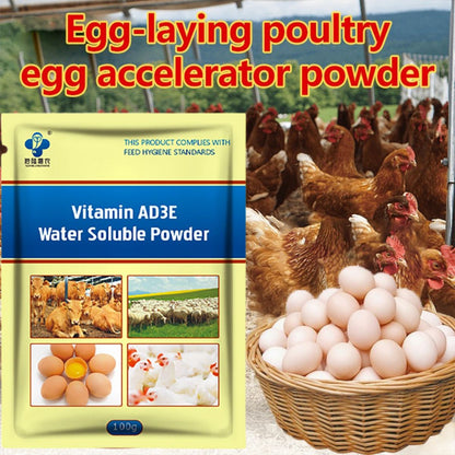 Poultry Vitamin AD3E Powder – Boost Egg Production