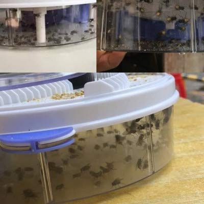 Home Automatic Fly Trap Silent, Eco-Friendly Fly Killer for Homes