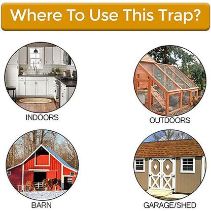 Bucket Lid Rat Trap Reusable Humane Rodent Catcher for Home