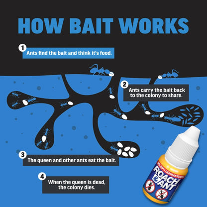 Roach & Ant Bait – Effective Control for Cockroaches and Ants