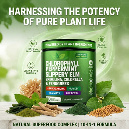 Chlorophyll Capsules Natural Green Supplement