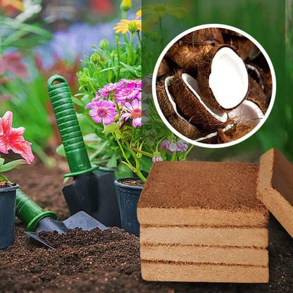 Organic Coconut Coir for Plants: