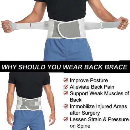 Bionic Steel Plate Back Support Belt