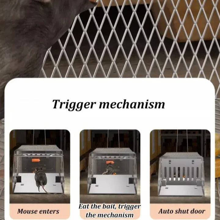 Rat Hole Mouse Trap – Easy & Effective Rodent Control Solution