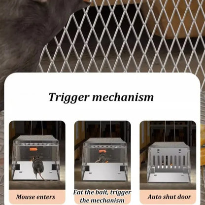 Rat Hole Mouse Trap – Easy & Effective Rodent Control Solution