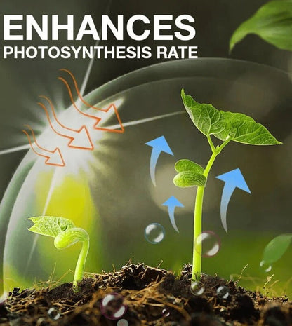 Plant Growth Enhancer Supplement - BUY 1 GET 1 FREE