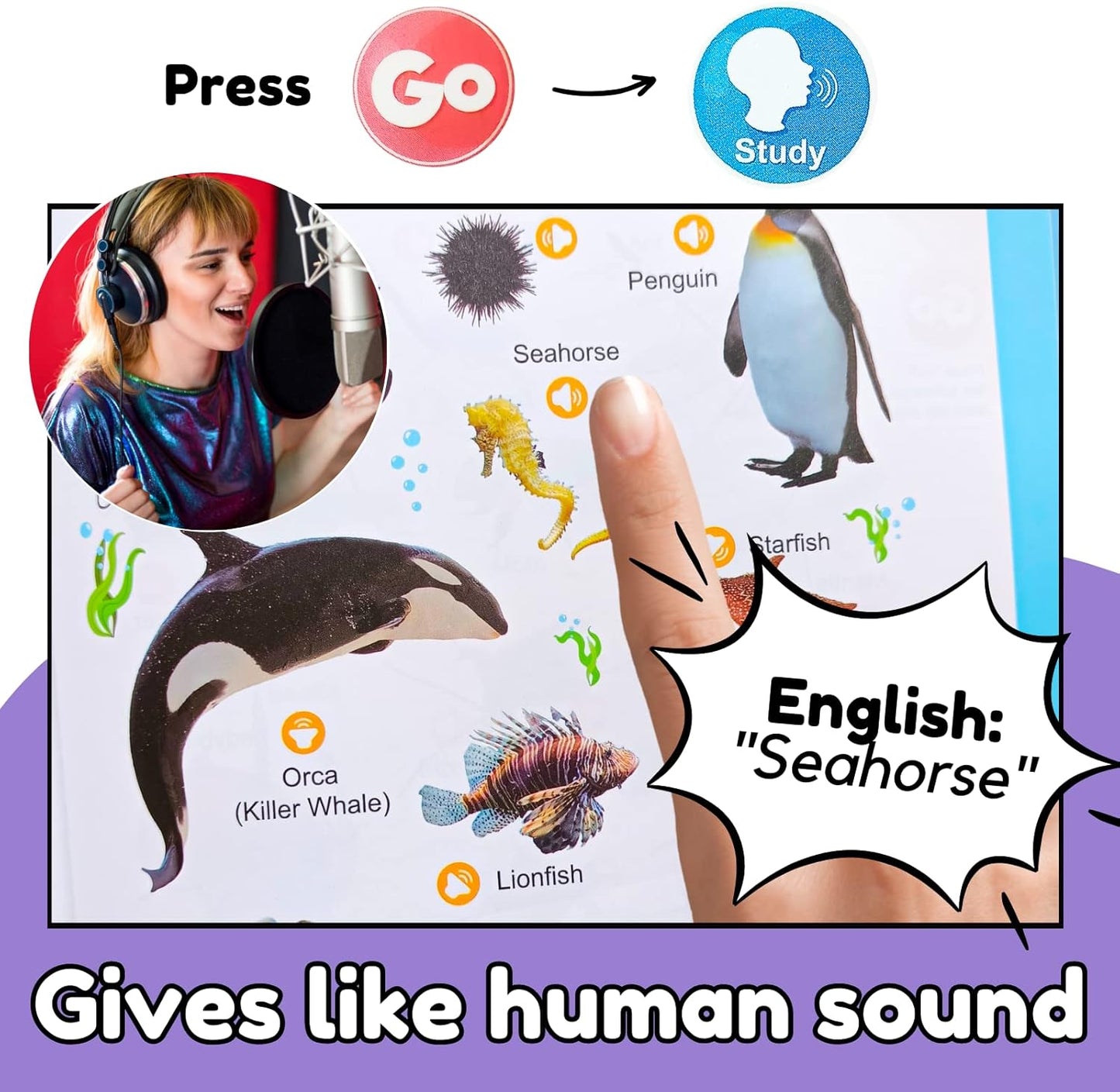 300+ Words Interactive Audio Sound Books