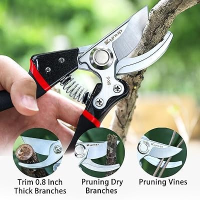 Industrial Ratchet Pruning Shears – Powerful Cutting for Garden & Tree Care