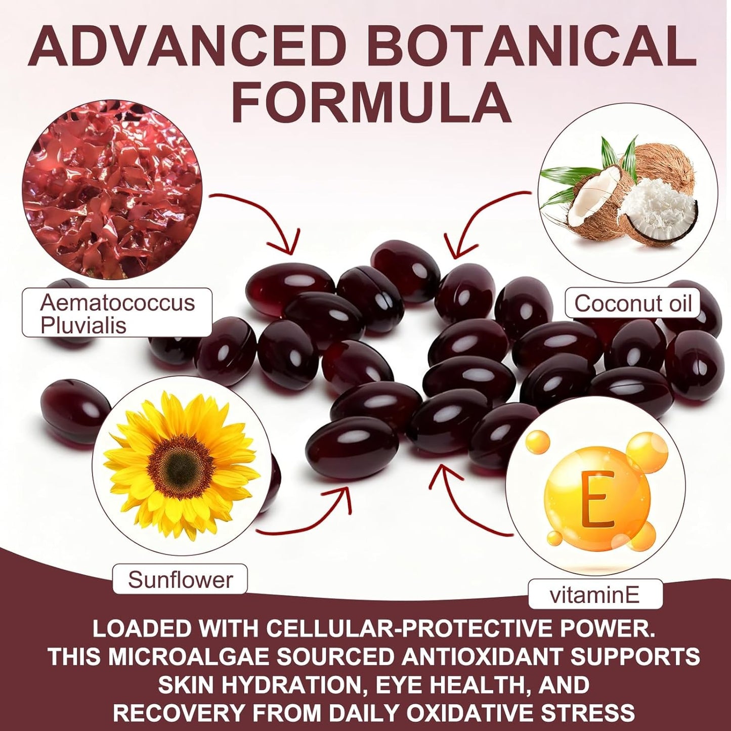 Astaxanthin Antioxidant Softgels – Natural Wellness & Skin Support Supplement