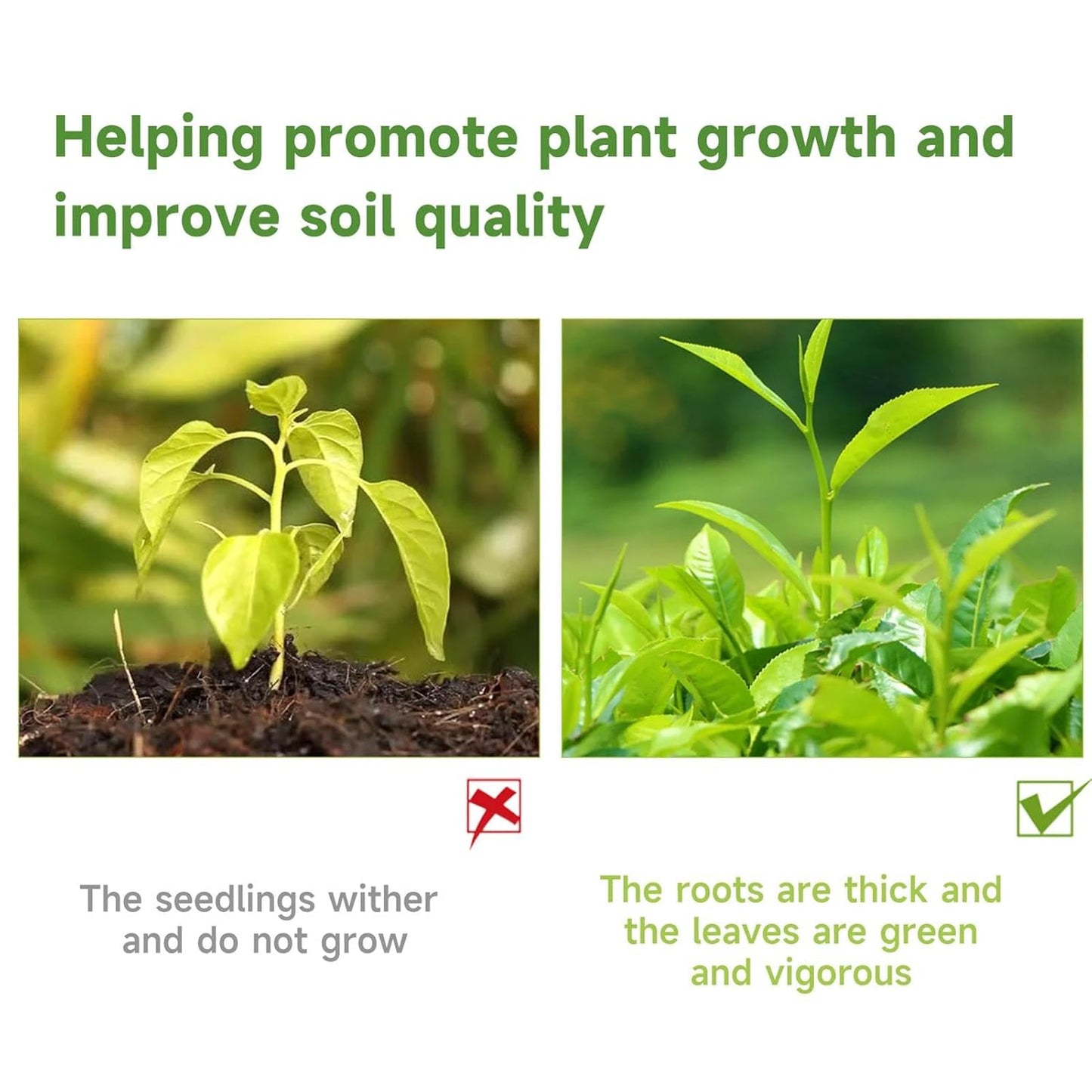 Awakening Plant Growth Vitality