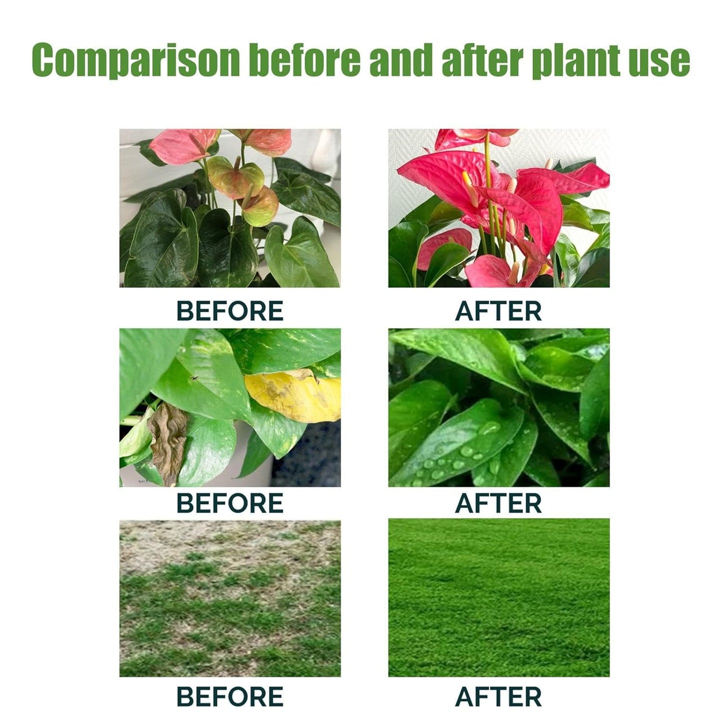 Awakening Plant Growth Vitality