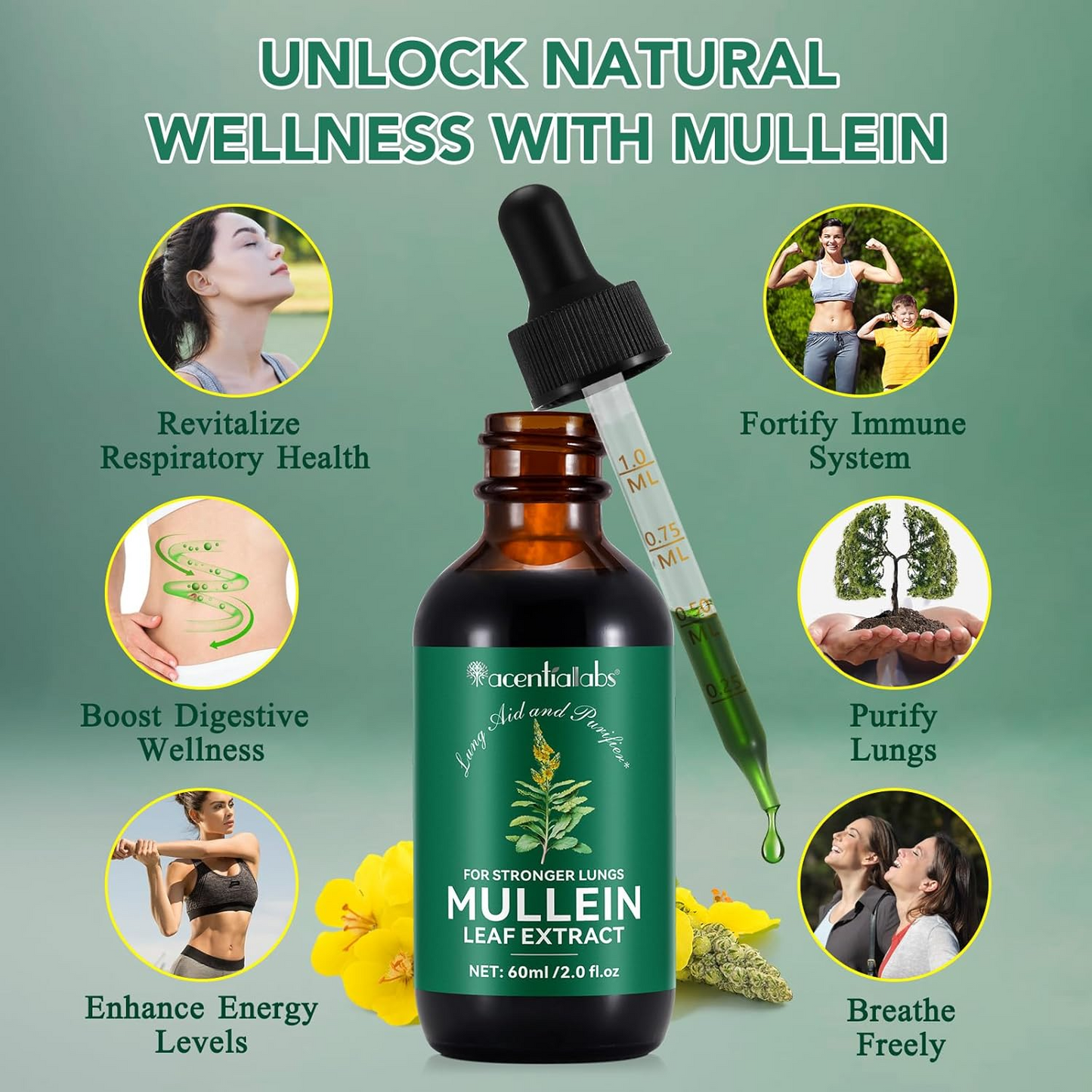 Mullein Leaf Extract Drops – Respiratory & Lung Support Herbal Formula
