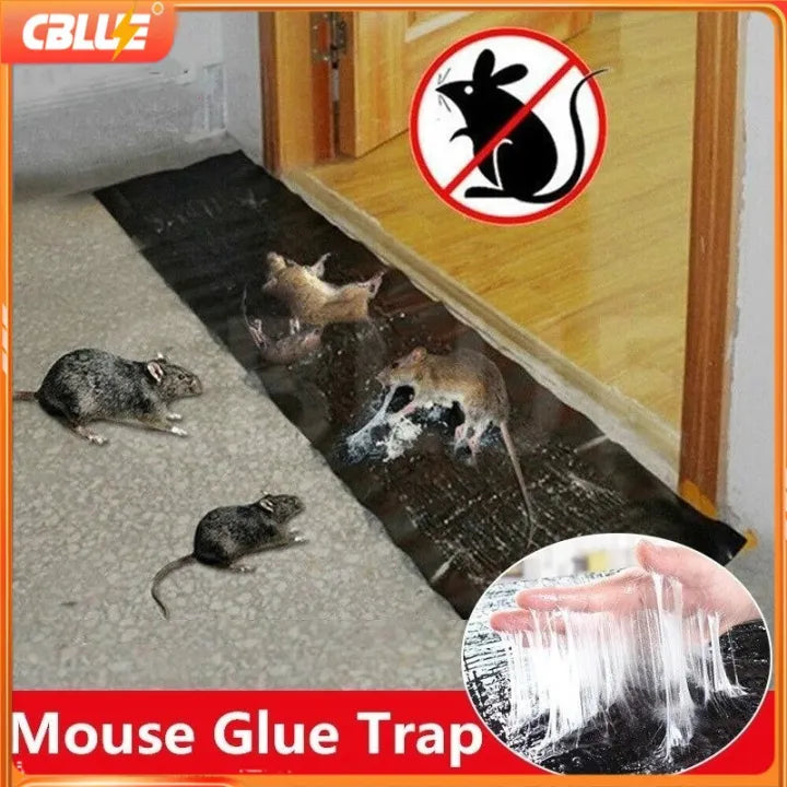 Heavy-Duty Sticky Mouse Trap Safe, Simple & Super Effective