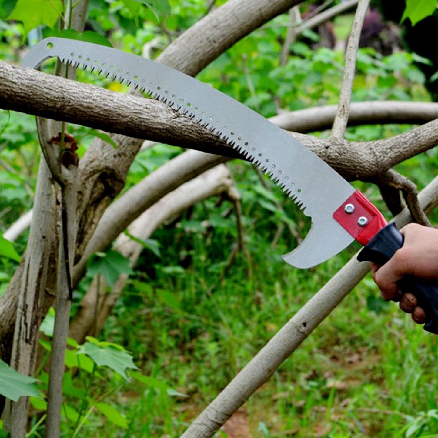 🌲 Long Handle Telescopic Tree Pruner Pole Saw