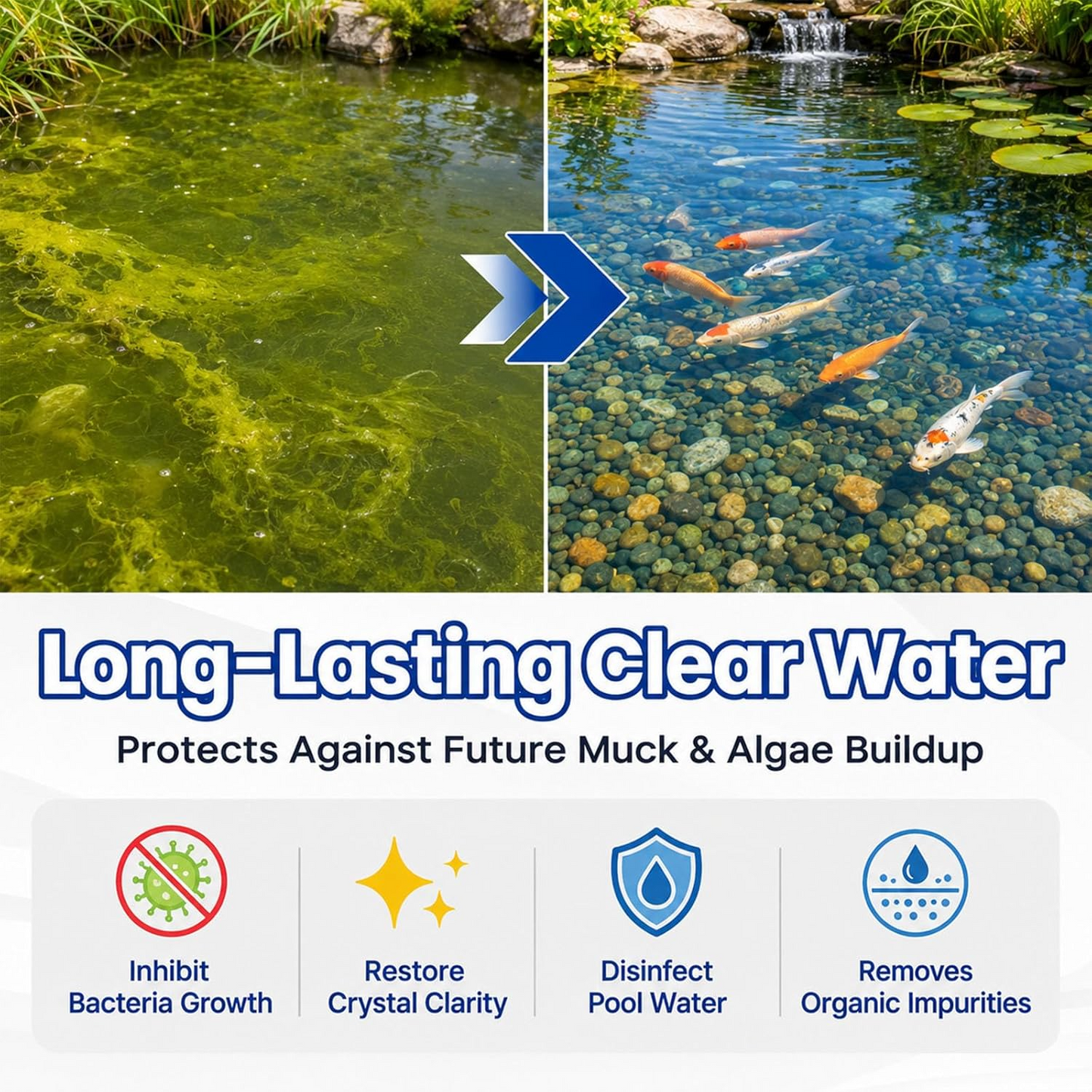 Water Purification Powder – Clear Water Quality Care Treatment