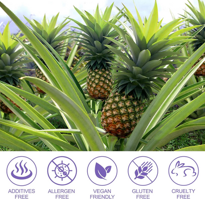 Feminine Balance Gummies – Pineapple Flavor Immune Support Supplement