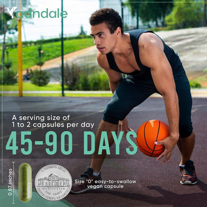 Shilajit & Herbal Blend Capsules –  9000mg Shilajit