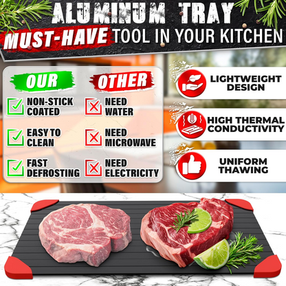 Quick Defrosting Tray – Fast Thawing Plate for Frozen Food