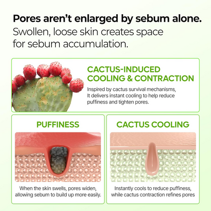 Cactox Pore Relief Multi Balm Stick – Cooling, De-Puffing & Pore Care