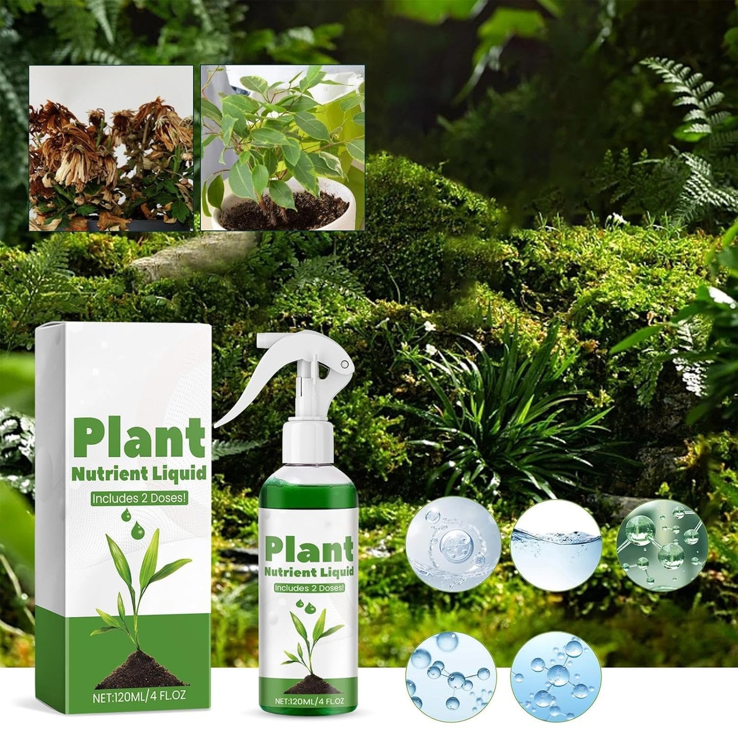 Awakening Plant Growth Vitality