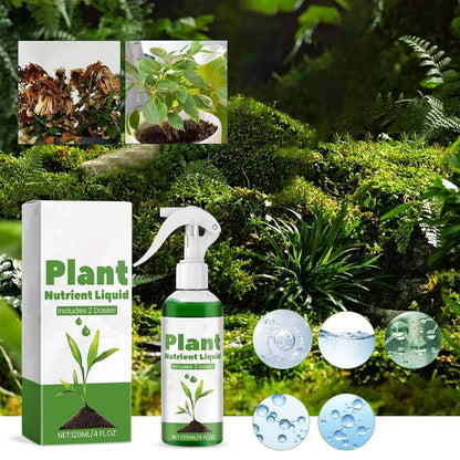 Awakening Plant Growth Vitality