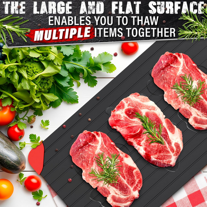 Quick Defrosting Tray – Fast Thawing Plate for Frozen Food