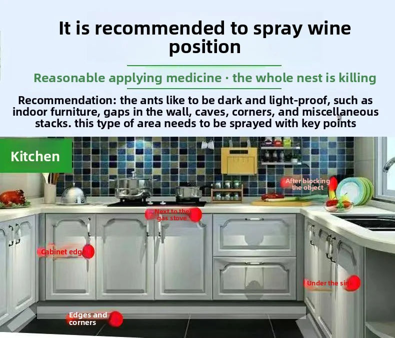 Bed Bug Spray – Fast, Safe & Travel-Ready Protection.