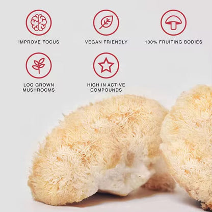 Organic Lion’s Mane Mushroom Powder – Antioxidant & Wellness Superfood