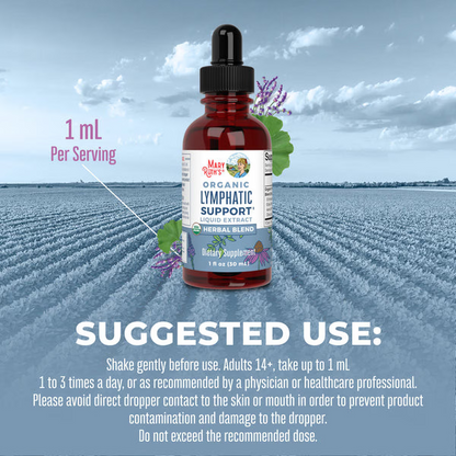 Lymphatic Support Drops – Herbal Immune & Wellness Supplement