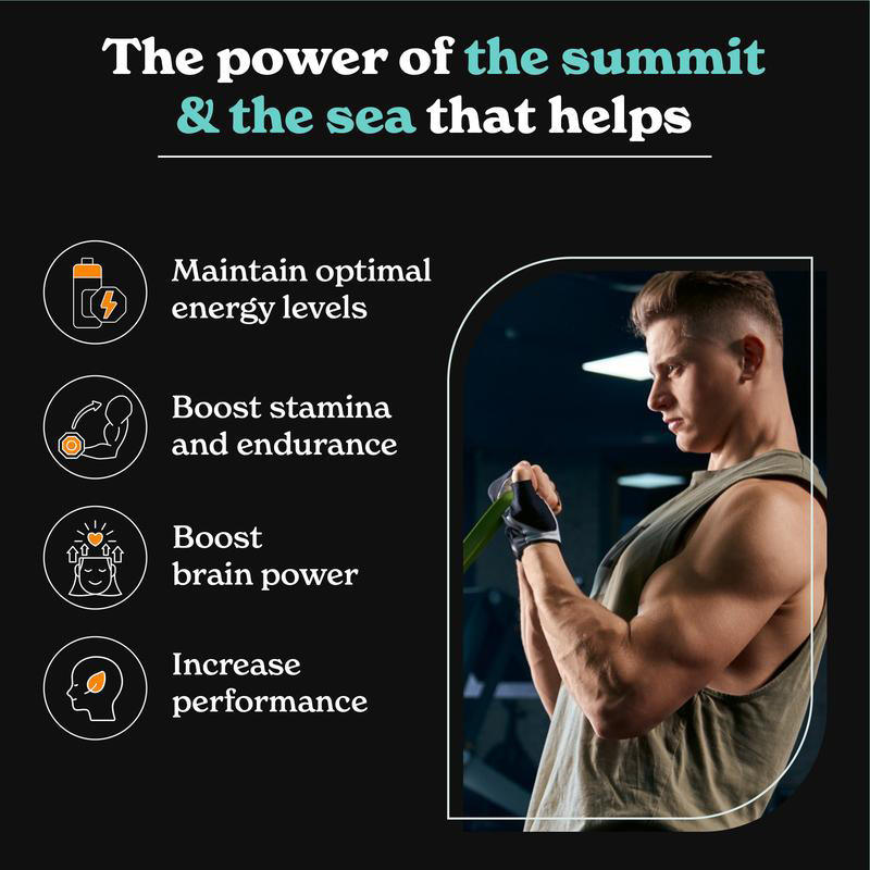 Shilajit Capsules for Adults – Daily Energy & Wellness Support
