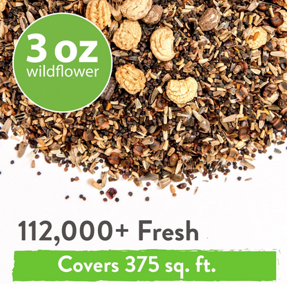 21 Variety Wildflower Seed Mix – Bee & Butterfly Garden Pack