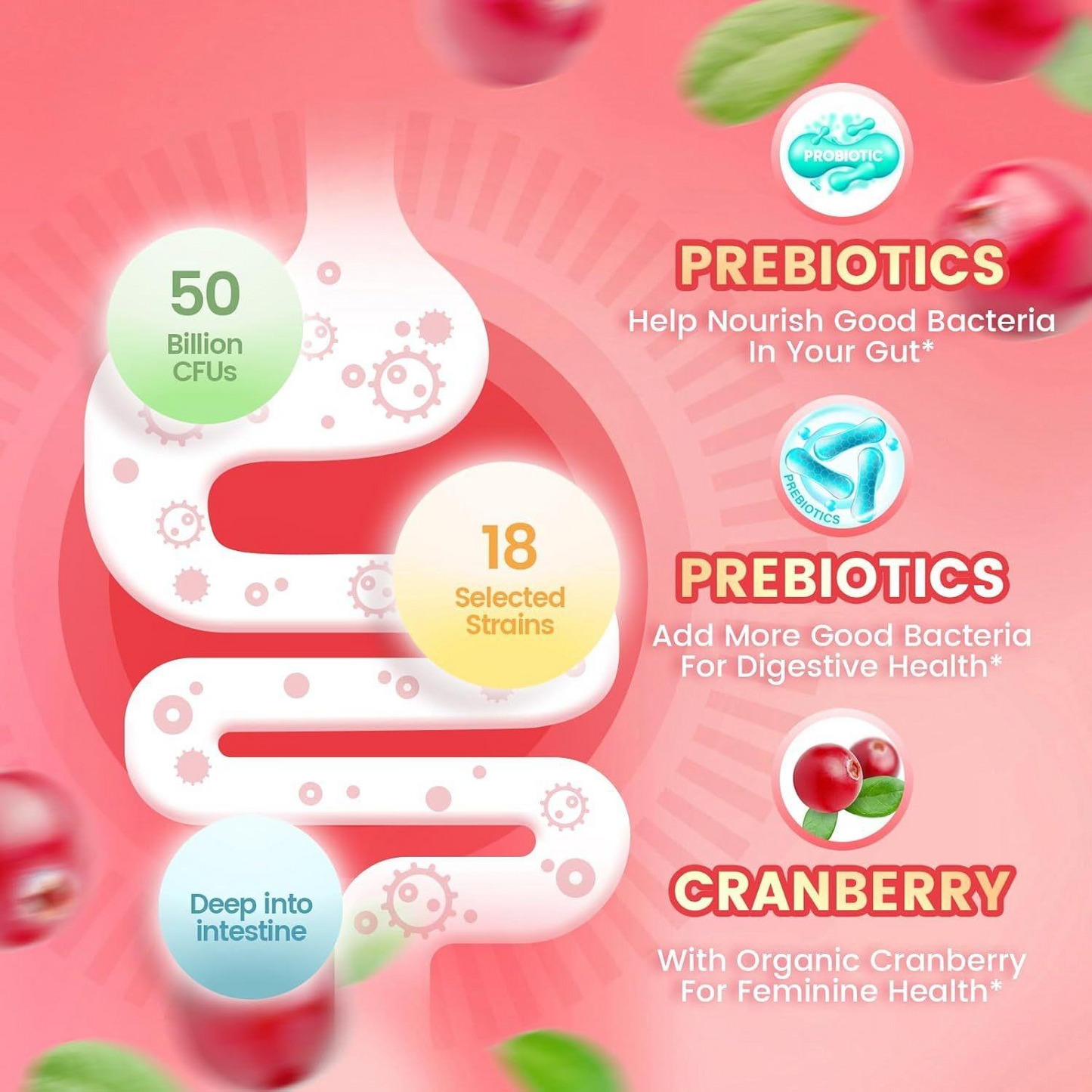 Women’s Probiotic Cranberry Gummies – Daily Balance, Gut & Feminine Health Support