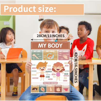 Preschool Educational Posters – Waterproof Classroom Wall Art Set (16pcs)