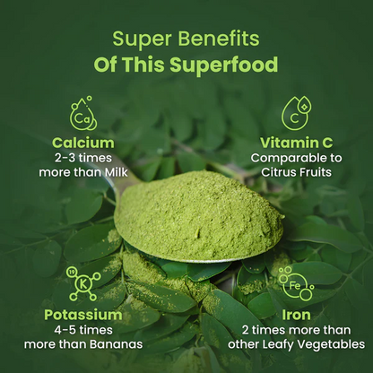 Pure Moringa Extract Powder – Natural Energy & Immune Support Superfood