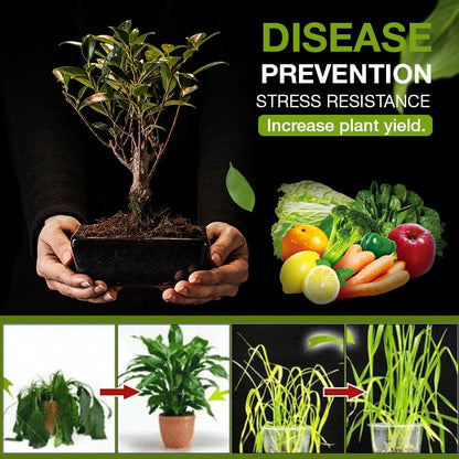 Soil Activated Growth Enhancer – Germination Booster & pH Balancing Activator