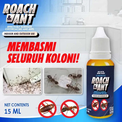 Roach & Ant Bait – Effective Control for Cockroaches and Ants
