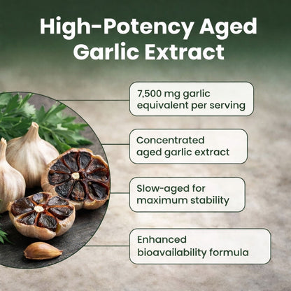 Aged Garlic Extract Supplement – 300 Softgels Daily Wellness Support