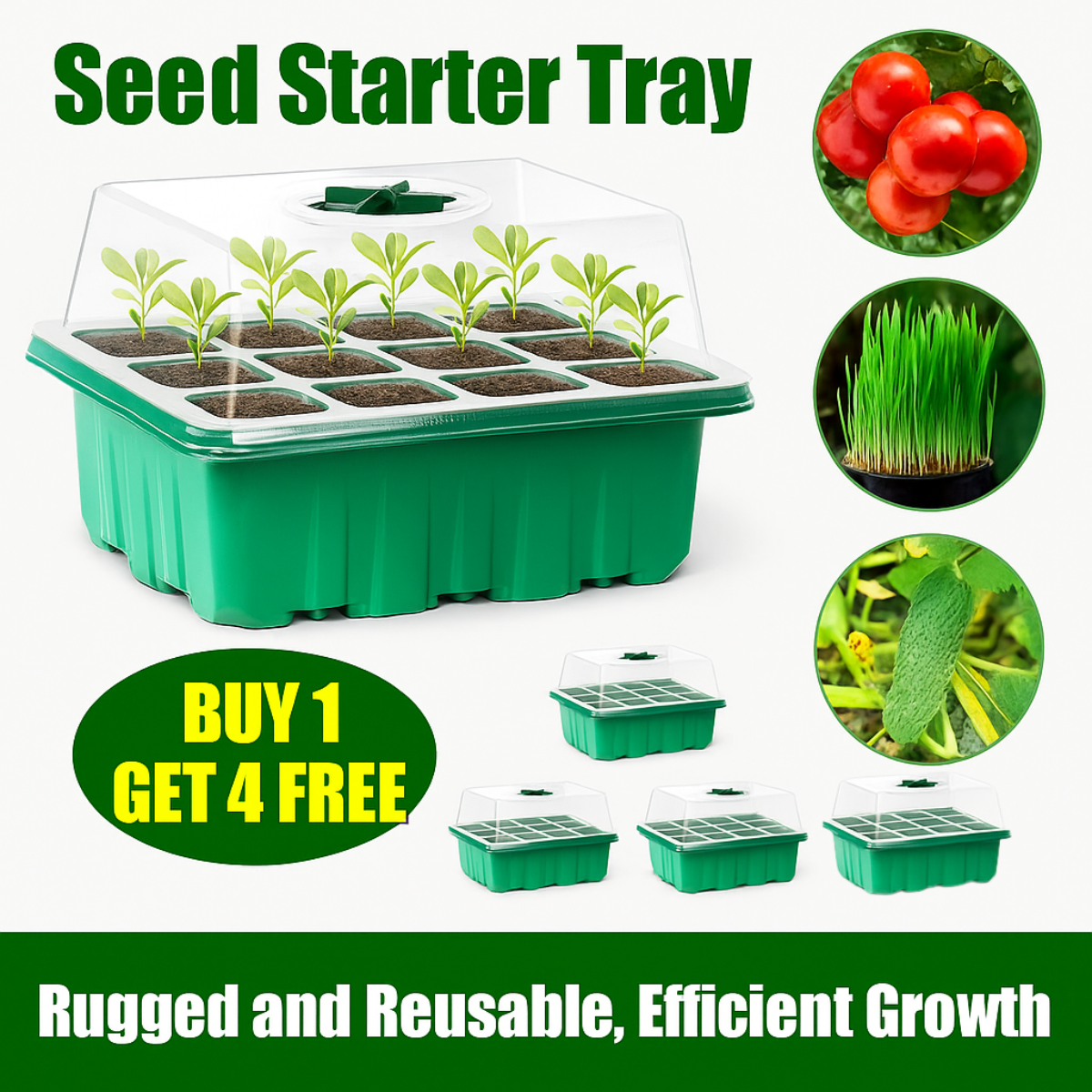 Plastic Seedling Box – Heat & Moisture Preserving Grow Tray